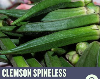 Clemson Spineless Okra Heirloom Seeds