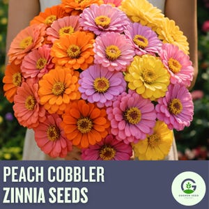 May include: A vibrant bouquet of peach, orange, pink, purple, and yellow Zinnia flowers. The flowers have a layered petal design with a yellow center. The image includes the text "PEACH COBBLER ZINNIA SEEDS".
