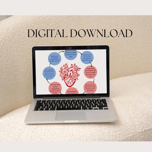 Path of blood through heart cardiac study guide