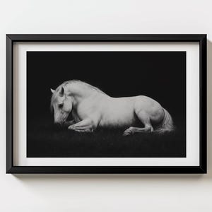 Horse Wall Art, Vintage Horse Print, Black and White Poster, Equestrian Decor, Western Wall Art, Rustic Farmhouse Wall Decor, Cowboy Print