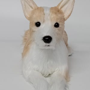 Realistic Plush Dogs with Paw Pads - Already Made - Not a Custom