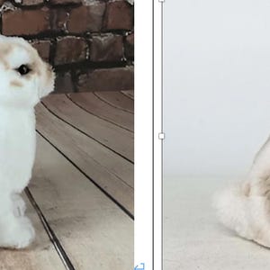 May include: A plush, seated rabbit figurine with a white body and tan markings. The rabbit has long ears and a fluffy tail. The figurine is designed to sit upright, showcasing its detailed fur texture and realistic features.