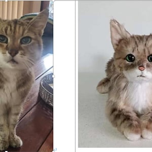 May include: A tabby cat with brown and tan fur sits on a wooden surface. The cat has green eyes and a focused expression. The cat's fur has a striped pattern. The cat is a domestic animal.