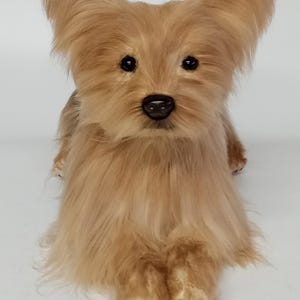 Realistic Plush Dogs - Paw Pads - Already Made - Not a Custom