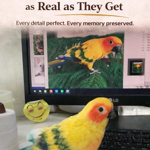 May include: A plush replica of a yellow and orange bird with green and blue accents. The image includes the text "Custom Plush Replicas as Real as They Get" and "Every detail perfect. Every memory preserved."