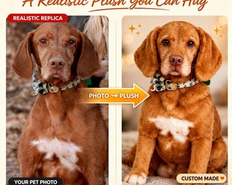 Personalized Pet Replica Plush from Photo, Custom Pet Memorial Gift