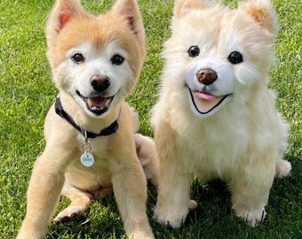 Custom Pet Replica Plush From Photo, Premium Handmade Pet Plush, Realistic Dog or Cat Plush, Bespoke Memorial Keepsake Gift