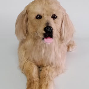 Realistic Plush Dogs with Paw Pads- Already Made - Not a Custom