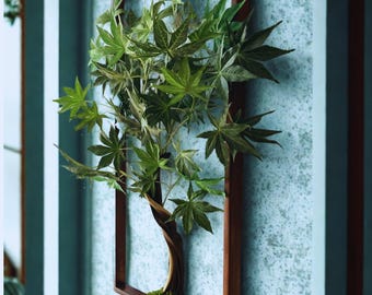 Framed Preserved Moss Bonsai Tree Wall Art: Handmade Zen Decor