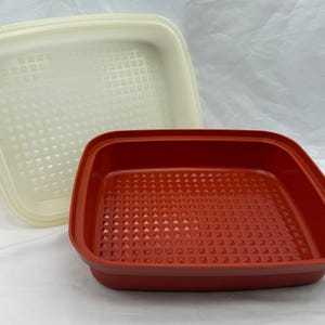 Recipiente para marinar Tupperware vintage, color naranja, para servir en temporadas, utensilios de cocina retro