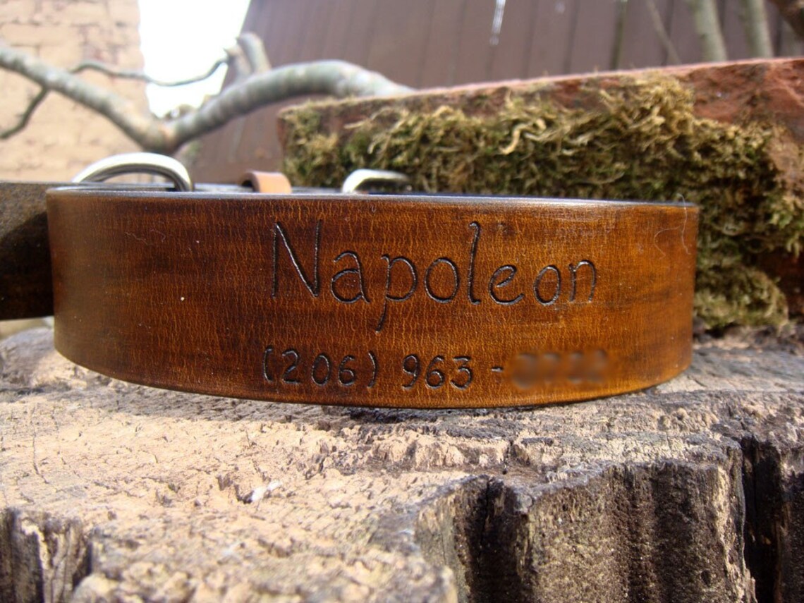 1 1/2 Inch Custom Dog Collar With Name and Number on Chocolate Etsy