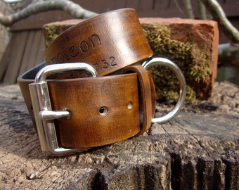1 1/2 inch Custom Dog Collar with Name and Number on Chocolate Brown Leather