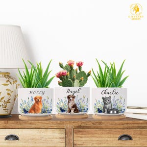 Puede incluir: Tres macetas de cerámica blanca con retratos de mascotas personalizados y nombres, cada una sobre un platillo de madera. Las macetas presentan un golden retriever, un pastor australiano y un gato gris, rodeados de diseños florales azules.