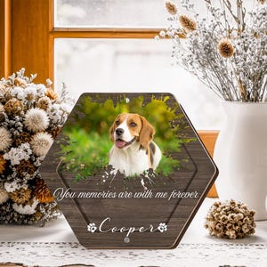 Può includere: Targa esagonale in legno con un ritratto di cane Beagle. La targa riporta la scritta "You memories are with me forever" e il nome del cane, "Cooper". Lo sfondo include un design a spruzzi verde e marrone.