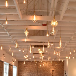 LED Specialty Bulbs Commercial Lighting 19 Pendant Swag Chandelier - Multi Pendant Chandelier Industrial Restaurant or Bar Lighting