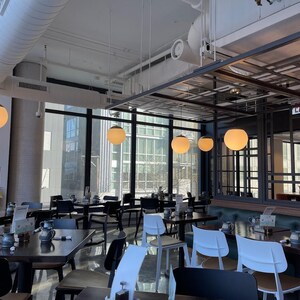 Custom Globe Pendant Light – Clear or Frosted Glass – Brass, Black, White, Nickel – Chain or Cord – 8", 10", 12", 14", 16" Sizes image 8