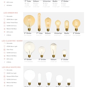 May include: A chart showing different types of light bulbs, including Edison, Globe, Tube, and Victorian styles. The chart lists the bulb's features, such as wattage, lumen output, and color temperature. The bulbs are categorized by their light color, including antique, amber, clear, milk white, and smoke.