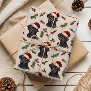 May include: Christmas-themed gift wrap featuring a repeating pattern of black Labrador Retrievers wearing Santa hats. The design includes sprigs of holly, pine needles, and snowflakes on a light beige background. The wrapped gift is tied with twine.
