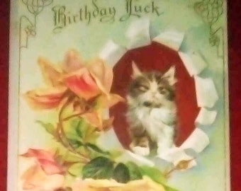 Vintage Postcard Birthday Greetings Kitten Cameo Roses