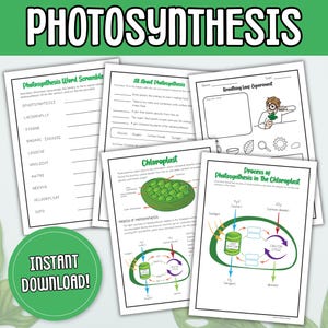 Photosynthesis Science Worksheets | Leaf Experiment & Chloroplast Diagram | Printable Science Activity | Plant Worksheets | Photosynthesis L