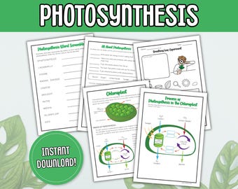 Hojas de trabajo sobre la fotosíntesis / Experimento con hojas y diagrama de cloroplastos / Actividad científica imprimible / Hojas de trabajo sobre plantas / Fotosíntesis L