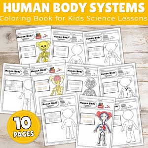 Anatomy Coloring Pages, Human Body Systems, Grades K-2 Homeschool Classroom Science Activity