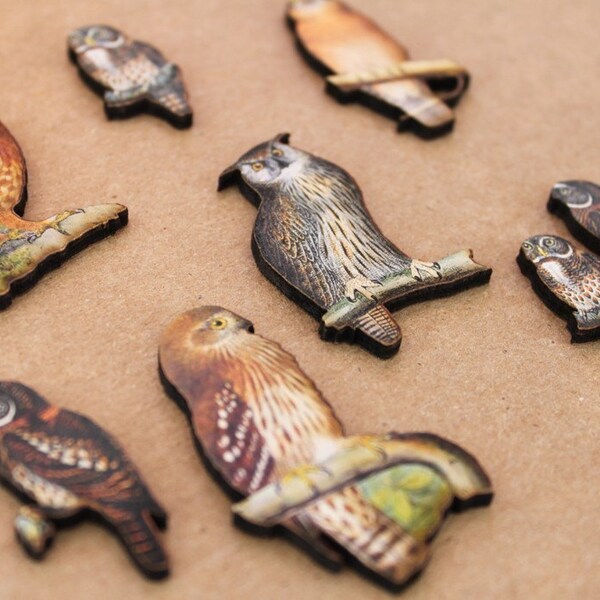 Wooden Owls