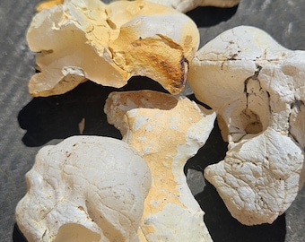 May include: A collection of off-white, irregularly shaped stones with textured surfaces and areas of yellow-brown discoloration. The stones are arranged on a dark surface, with shadows adding depth.