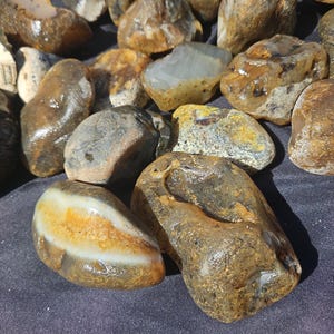 Puede incluir: Una colección de piedras pulidas de diversas formas y tamaños. Las piedras muestran una gama de colores, incluyendo marrones, beiges, grises y blancos, con algunas exhibiendo patrones de bandas. Las superficies parecen lisas y húmedas.