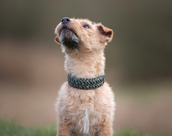 Small Dog Paracord Collar | Cobra FM Buckle, Custom Fit