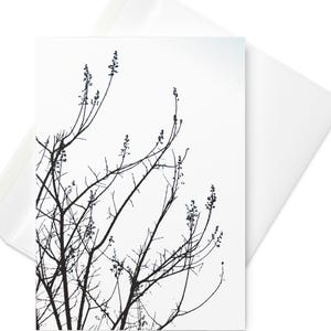 Minimalistische boomwenskaart - op de natuur geïnspireerde kaart rug en witte boomtakken kaart op de natuur geïnspireerde boom kunst poëzie stijl kaart