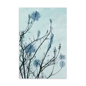 Tarjeta de felicitación de naturaleza de ensueño con cielos pictóricos y ramas poéticas - Postal floral primaveral