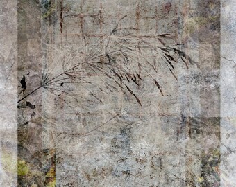 May include: Abstract digital art print featuring a textured background with a layered effect. The artwork incorporates a muted color palette of grays, browns, and hints of yellow and green. A delicate, dark-colored plant silhouette is visible.