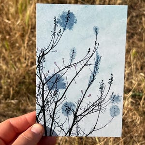 Verträumte Natur Grusskarte Mit Malerischen Himmel Und Poetischen Zweigen - Feine Frühlingsblumenpostkarte