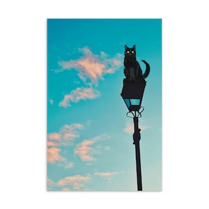 Carte postale chat noir sur lampadaire - illustration de ciel rêveur - nuages pastel impression d'art - carte postale chat fantaisiste