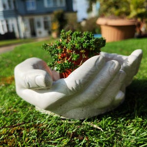May include: A white, hand-shaped planter made of a stone-like material, featuring two cupped hands joined together to form a basin. A small, green, leafy succulent plant in a brown plastic pot is nestled securely within the centre of the hands.