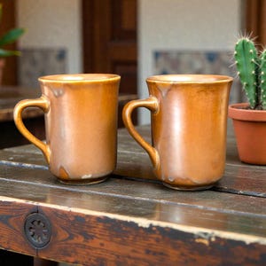 May include: Two brown ceramic mugs with curved handles sit on a wooden table. A small cactus in a terracotta pot is to the right of the mugs. A potted plant is in the background.