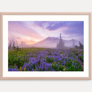 Mt Rainier National Park, Washington, Mountain, Wildflowers Wall Decor, Art Print, Photography, Landscape Print, Metal Prints, Canvas Art