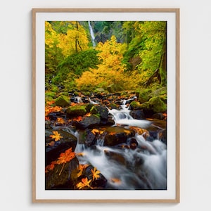 Starvation Creek Falls Print: Columbia River Gorge Oregon Autumn Landscape Photography Wall Art