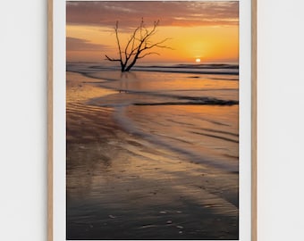 Boneyard Beach South Carolina Coastal Photography Print, Landscape Coastal Wall Art, Fine Art Ocean Landscape Print