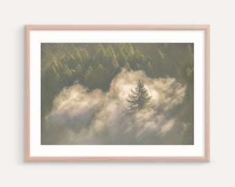 Oregon Photography Prints,  Fog, Mist, Trees, Foggy Forest Wall Decor Art Print, Nature, Landscapes, Metal Prints, Canvas Art, Large Prints