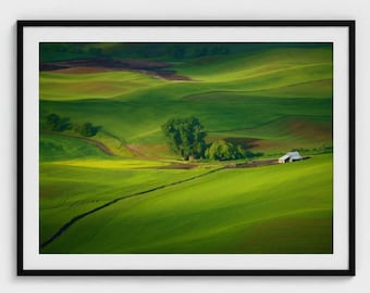 Palouse Washington Landscape Photography Print: Barn and Wheat Fields Wall Art