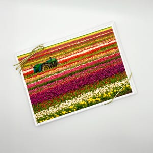 Tulips, 5x7 Blank Photo Greeting Cards Boxed Gift Set (6 cards w/ envelopes), Assorted, Art Cards, Nature, Fine Art Photography, Gift