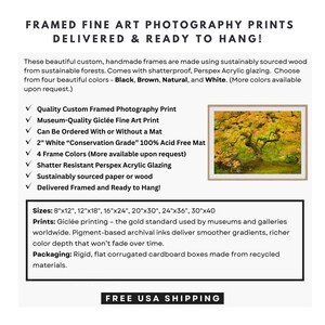 Puede incluir: Impresiones fotogr&aacute;ficas art&iacute;sticas enmarcadas, listas para colgar. La imagen muestra una impresi&oacute;n enmarcada de un &aacute;rbol con hojas amarillas y verdes. El texto enumera caracter&iacute;sticas como madera de origen sostenible y tama&ntilde;os disponibles.