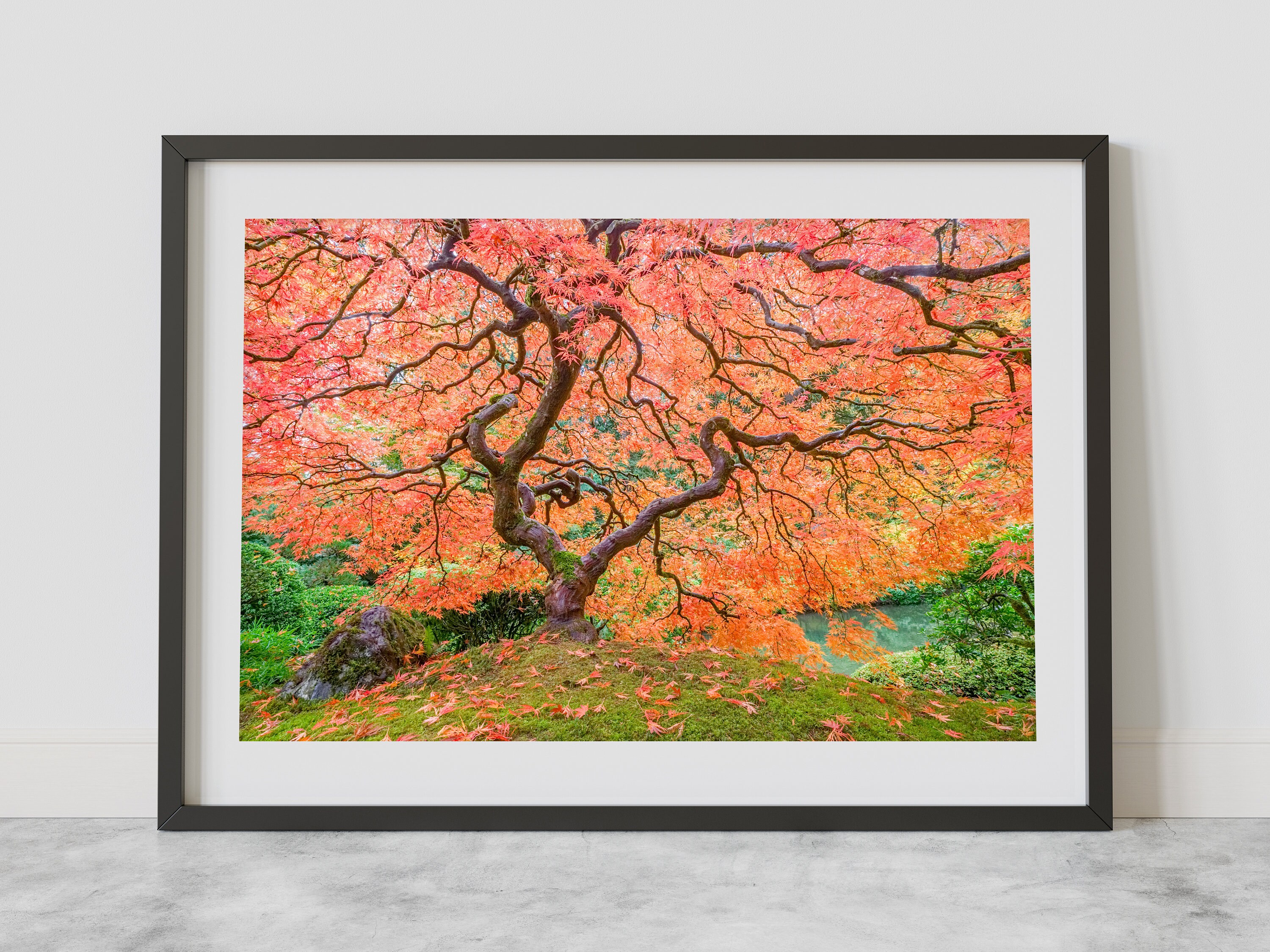 Japanese Maple Tree Art Print Wall Decor Portland Oregon Etsy
