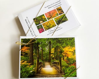 Autumn Splendor, 5x7 Blank Greeting Cards Boxed Gift Set (6 cards w/ envelopes), Assorted, Art Cards, Nature, Fine Art Photography, Gift