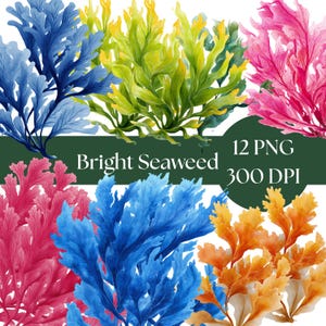 Seaweed Clipart, Watercolor Ocean Plants, Digital Download PNG for Crafts, Commercial Use, Nautical Decor, Underwater Art, sea creatures