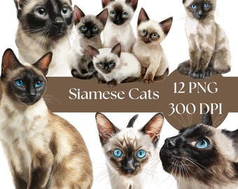 Siamese kat illustraties, schattige digitale PNG-stickers voor scrapbooking, afdrukbare aquarel kunst voor ambachten en scrapbooking, schattige kat clipart