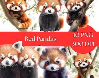 Watercolor Red Panda Clipart, Cute Red Panda PNG, Digital Download, Clipart Bundle for Crafts and Scrapbooking, commercial use clipart