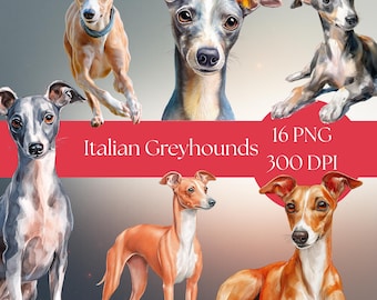 Könnte beinhalten: Digitale Kunst mit sechs italienischen Windhunden in verschiedenen Posen und Farben, darunter Beige, Grau und Braun. Das Bild enthält den Text "Italian Greyhounds" und Details zum Dateiformat.